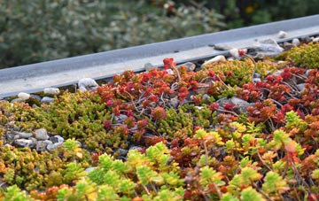 the cost of Williamslee green roof installation