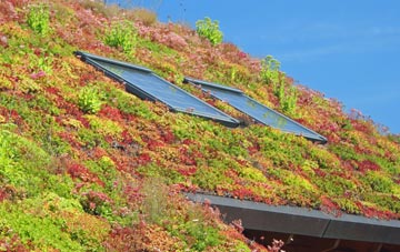 Williamslee living roof systems