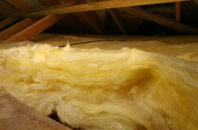 Williamslee pitch roof insulation